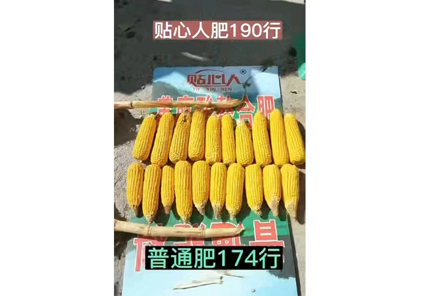 用戶反饋